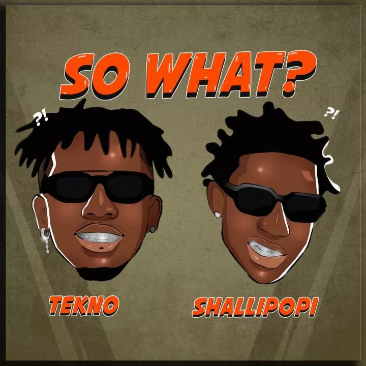 Tekno - So What (feat. Shallipopi)