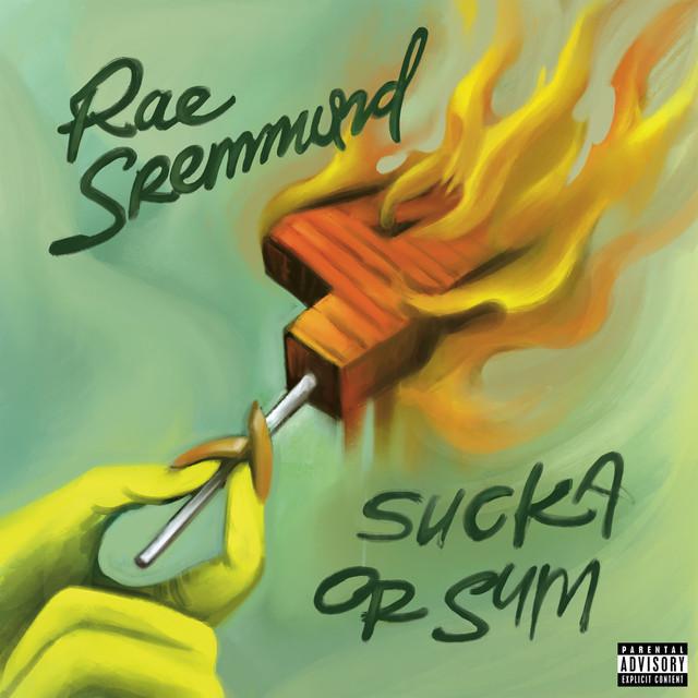Sucka Or Sum - Rae Sremmurd