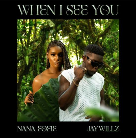 When I See You - Nana Fofie ft. Jaywillz